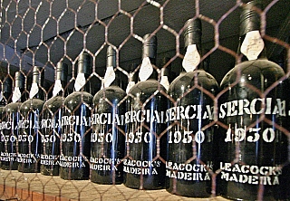 Funchal (ostrov Madeira - Portugalsko)