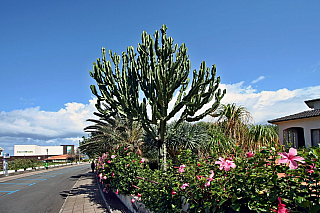 Porto Moniz (ostrov Madeira - Portugalsko)