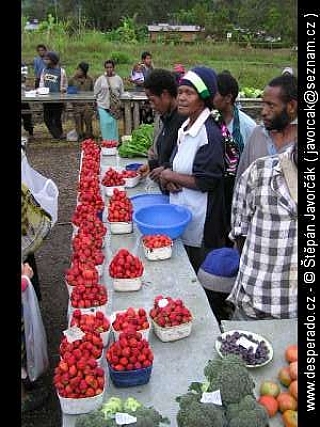 Ukarumpa (Papua New Guinea)