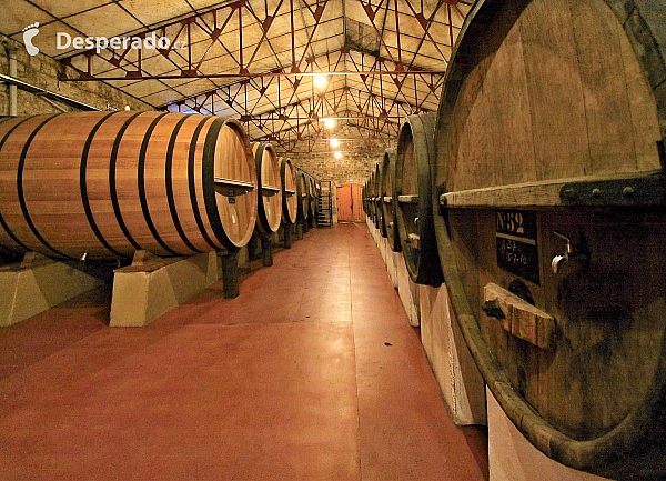 Vinařství Muga v Haro (La Rioja - Španělsko)