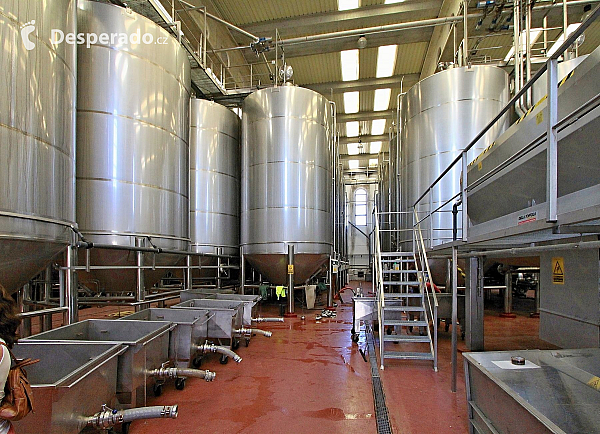 Vinařství Bodegas Bilbainas v Haro (La Rioja - Španělsko)