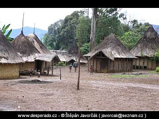 Ukarumpa (Papua New Guinea)