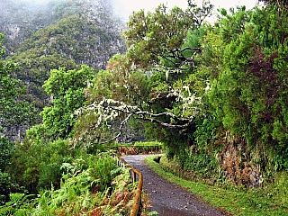 Levada do Risco (ostrov Madeira - Portugalsko)