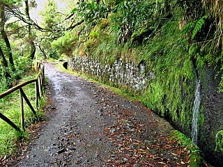 Levada do Risco (ostrov Madeira - Portugalsko)
