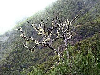 Levada do Risco (ostrov Madeira - Portugalsko)