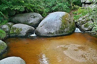 Huelgoatský les (Bretaň - Francie)