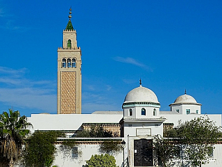 Túnis: Staré město, Kartágo a prezidentská moc
