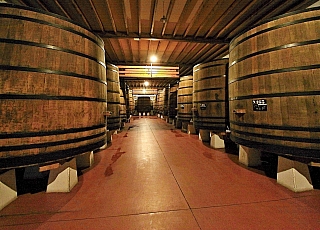 Vinařství Muga v Haro (Španělsko)