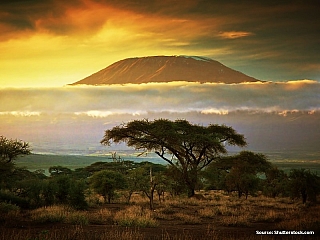 Národní park v Keni