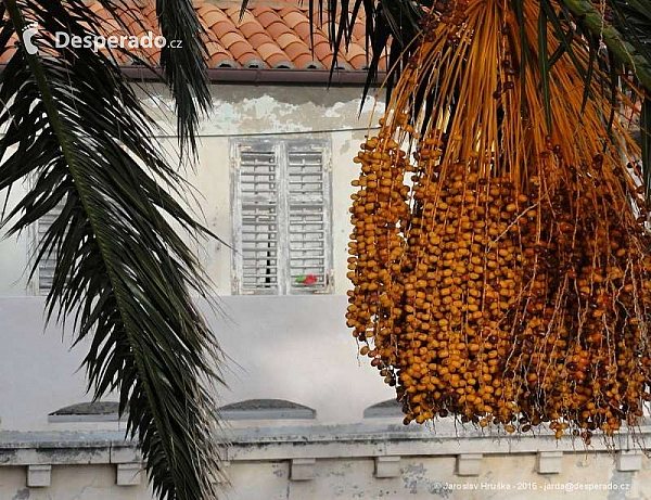 Dubrovník (Chorvatsko)