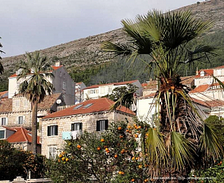 Dubrovník (Chorvatsko)