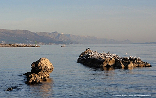 Split (Chorvatsko)