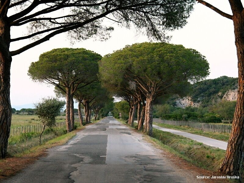 Přírodní park Maremma (Itálie)