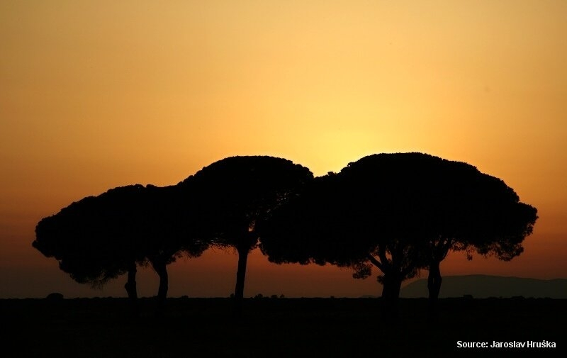 Přírodní park Maremma (Itálie)