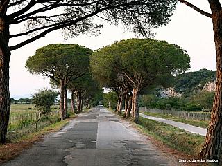 Přírodní park Maremma nadchne přírodou i historií