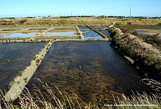 Solná pole Marais Salants v Bretani (Francie)
