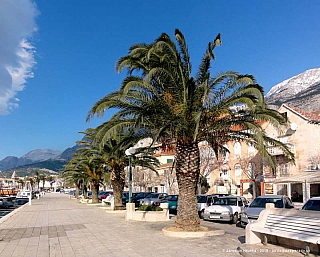 Makarska (Chorvatsko)