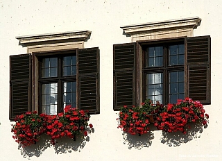 Městečko Rust a jezero Neusiedler See (Rakousko)