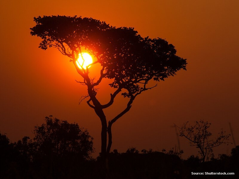 Západ slunce v národním parku (Kongo)