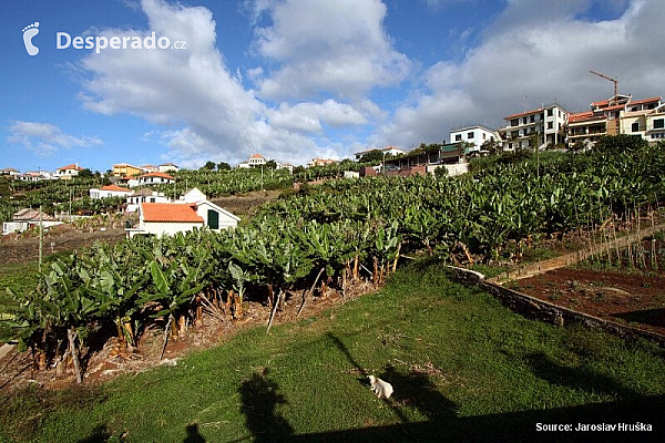 Ponta do Sol (ostrov Madeira - Portugalsko)