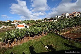  Ponta do Sol (ostrov Madeira - Portugalsko)