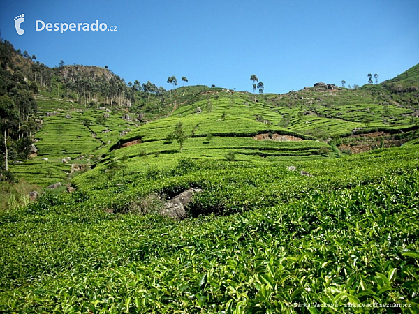 Srí Lanka