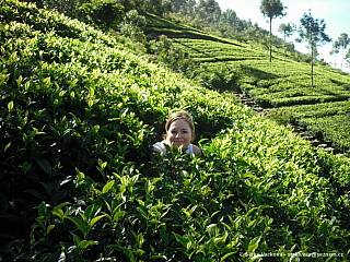 Srí Lanka