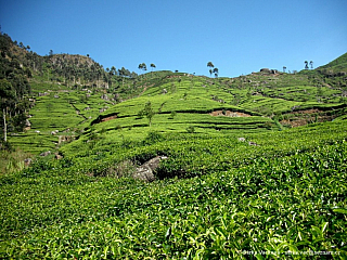 Srí Lanka
