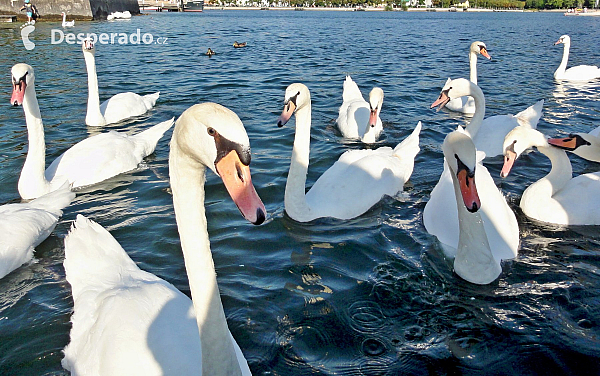 Vodní zámek Ort na břehu Traunsee (Salzkammergut - Rakousko)