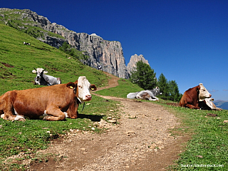Dolomity po tulácku