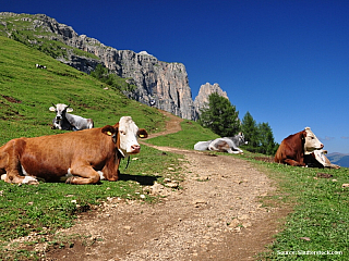 Dolomity po tulácku