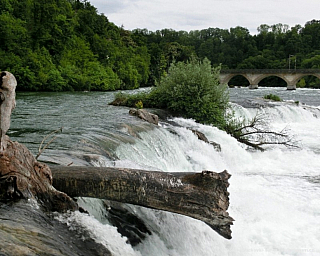 Bodamské jezero (Německo)