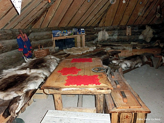 Psí spřežení v Laponsku (Finsko)