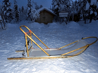 Psí spřežení v Laponsku (Finsko)