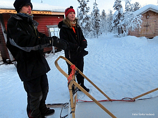 Psí spřežení v Laponsku (Finsko)