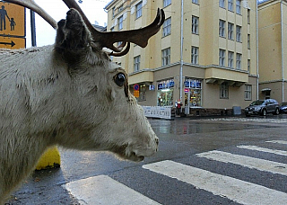 Helsinky (Finsko)