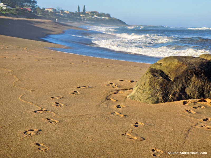 Písečná pláž (Jihoafrická republika)
