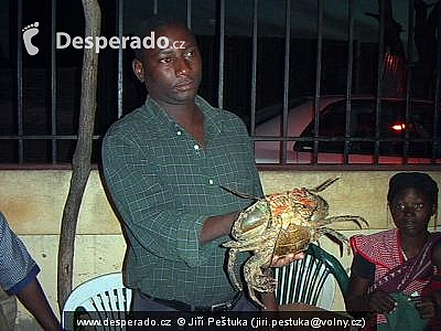 Rybí trh v Maputo (Mosambik)