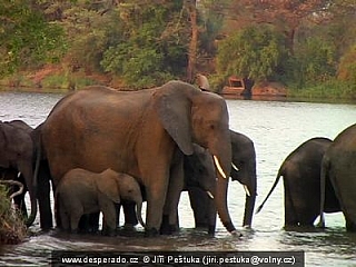 Viktoriiny vodopády (Zimbabwe)