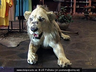 Shopping village u Viktoriiných vodopádů (Zimbabwe)