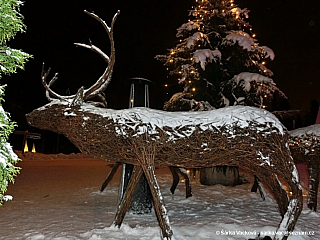 Rovaniemi – Vločka severu