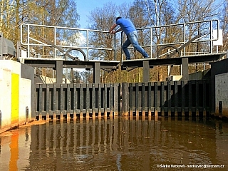 Sprévský les (Německo)