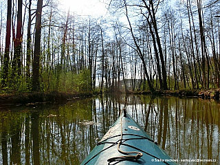 Sprévský les (Německo)