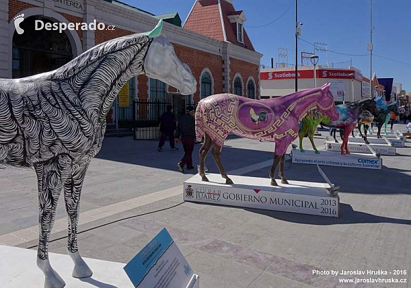 Ciudad Juárez (Mexiko)