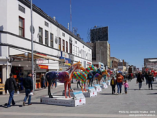 Ciudad Juárez (Mexiko)