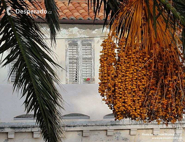 Dubrovník (Chorvatsko)