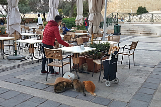 Upper Barrakka Gardens ve Vallettě (Malta)