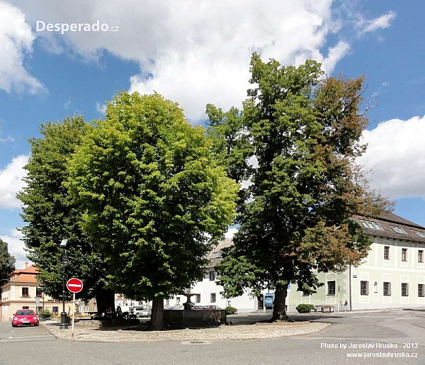 Tábor (Česká republika)