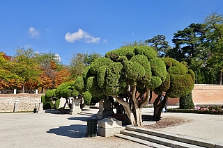 El Retiro Park v Madridu (Španělsko)