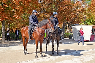 El Retiro Park v Madridu (Španělsko)